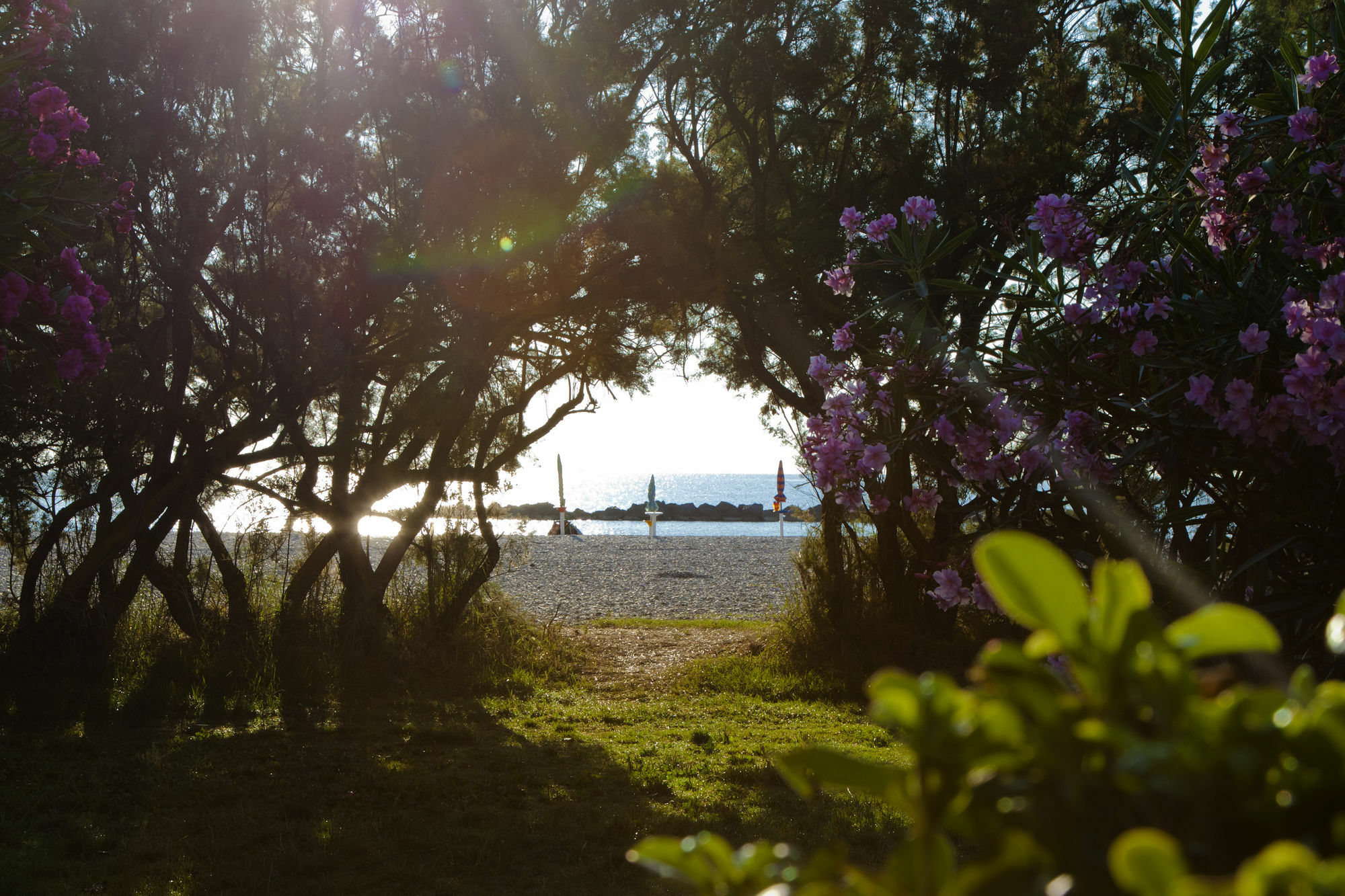 Residence Casabianca Porto San Giorgio Luaran gambar
